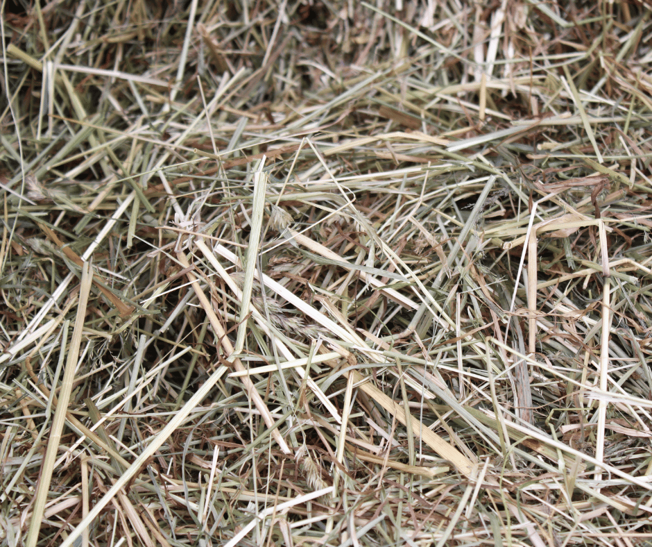 Gedroogd gras op het bedrijf van de familie Lemmens